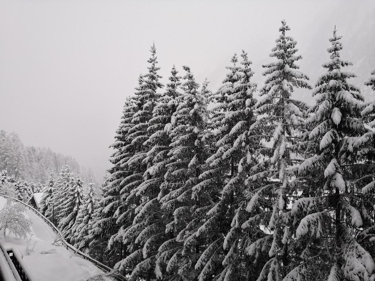 海利根布卢特Berghaus Glockner, Niedermeyer公寓 外观 照片