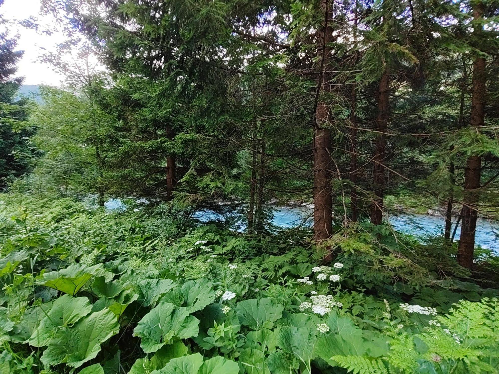 海利根布卢特Berghaus Glockner, Niedermeyer公寓 外观 照片